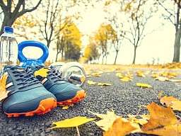 Fitness Fitness