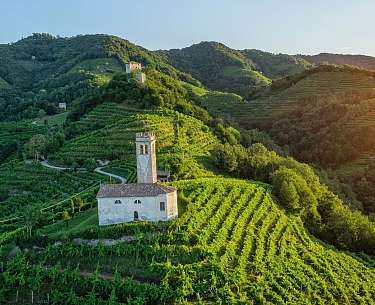 View of winegrowers in the area View of winegrowers in the area